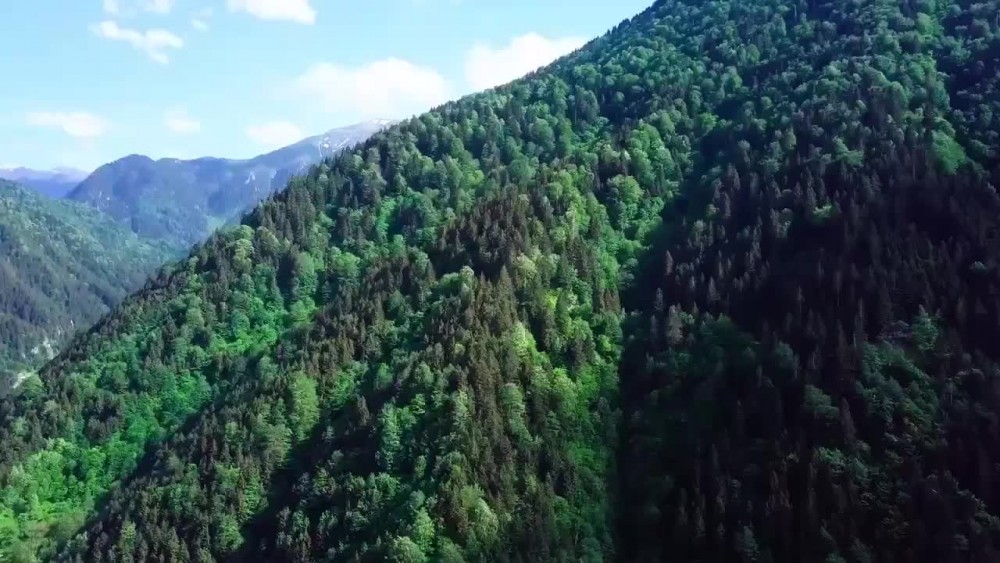 Zorluoğlu'ndan Uzungöl videosu